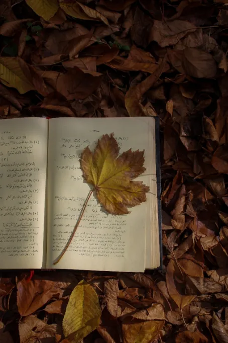 Foglia d'acero gialla conservata tra le pagine di un libro aperto, su un letto di foglie secche