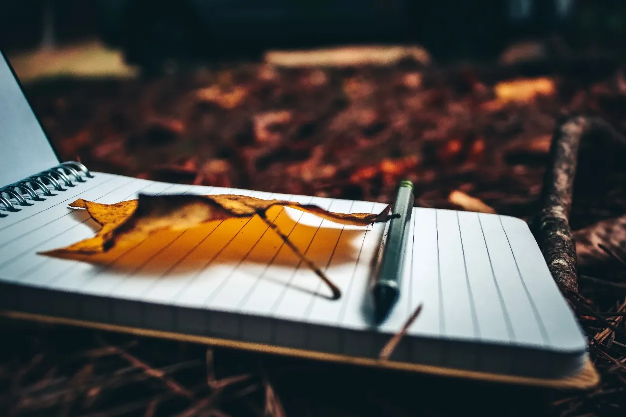 Taccuino aperto con una foglia d'autunno e una matita, appoggiato su un tappeto di foglie secche